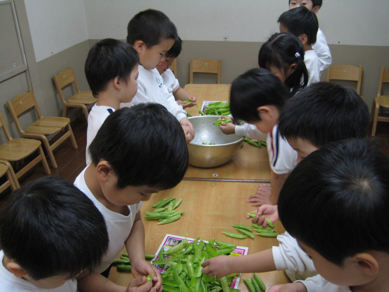 えんどう豆の皮むき